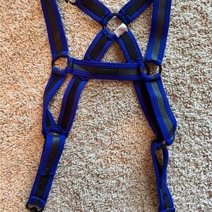 CB13 Blue Adjustable Men's Harness